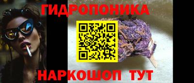 крисы Рыбинск