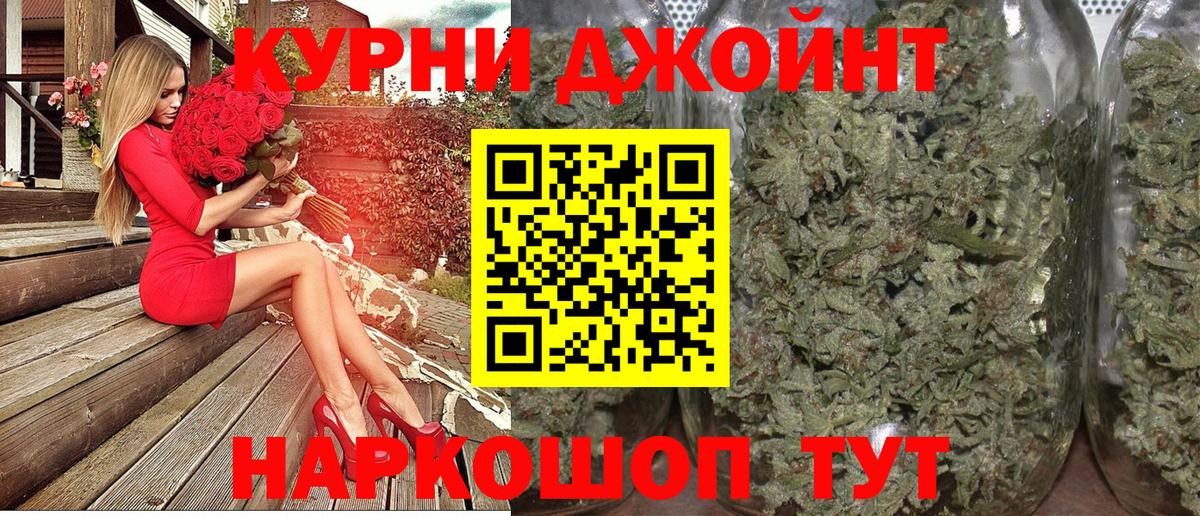 Конопля план Новоуральск